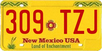 NM license plate 309TZJ