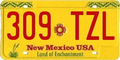 NM license plate 309TZL