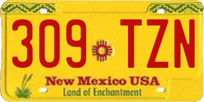 NM license plate 309TZN