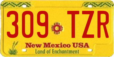 NM license plate 309TZR