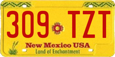 NM license plate 309TZT