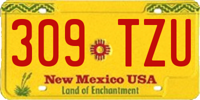 NM license plate 309TZU