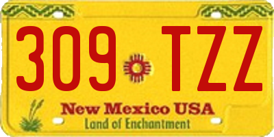 NM license plate 309TZZ