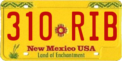 NM license plate 310RIB