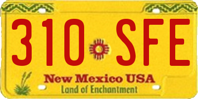 NM license plate 310SFE