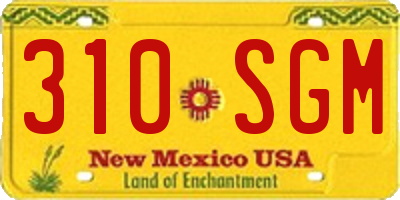 NM license plate 310SGM