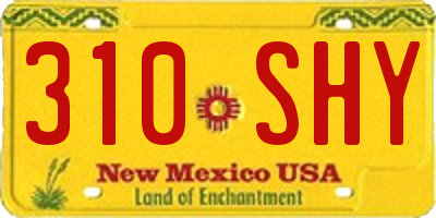NM license plate 310SHY