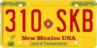 NM license plate 310SKB