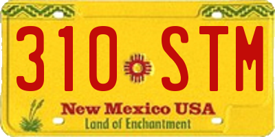 NM license plate 310STM