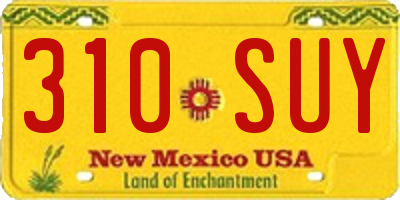 NM license plate 310SUY
