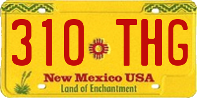 NM license plate 310THG