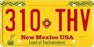 NM license plate 310THV