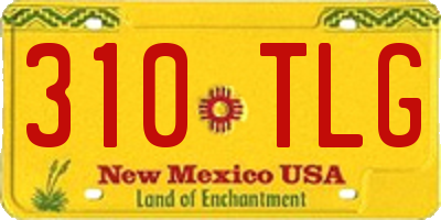 NM license plate 310TLG