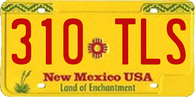 NM license plate 310TLS