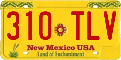 NM license plate 310TLV