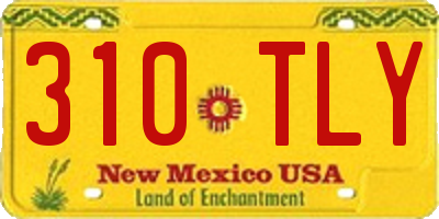 NM license plate 310TLY