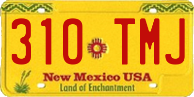 NM license plate 310TMJ