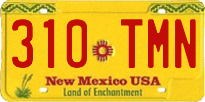 NM license plate 310TMN