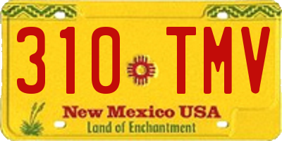NM license plate 310TMV