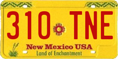 NM license plate 310TNE