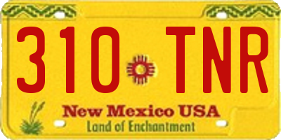 NM license plate 310TNR