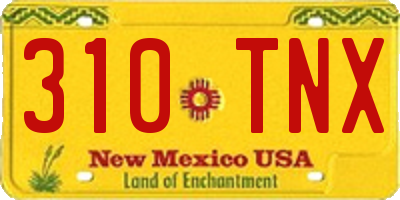 NM license plate 310TNX