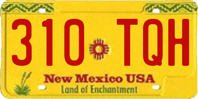 NM license plate 310TQH