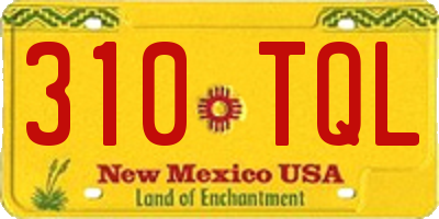 NM license plate 310TQL