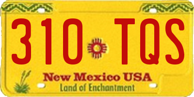 NM license plate 310TQS
