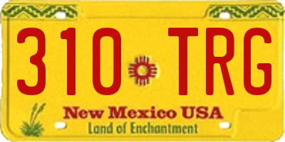 NM license plate 310TRG