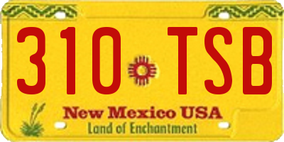 NM license plate 310TSB