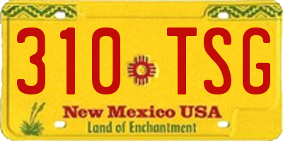 NM license plate 310TSG