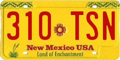 NM license plate 310TSN