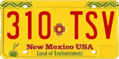 NM license plate 310TSV