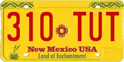 NM license plate 310TUT