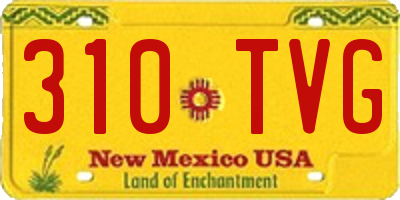 NM license plate 310TVG