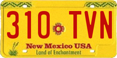 NM license plate 310TVN