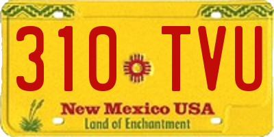 NM license plate 310TVU
