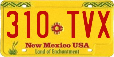 NM license plate 310TVX