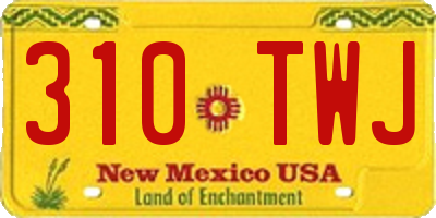 NM license plate 310TWJ