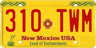 NM license plate 310TWM