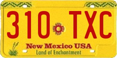 NM license plate 310TXC