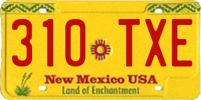 NM license plate 310TXE