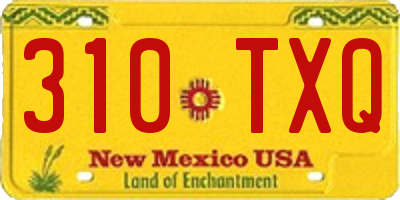NM license plate 310TXQ