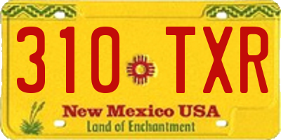 NM license plate 310TXR