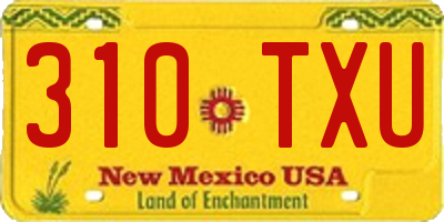 NM license plate 310TXU