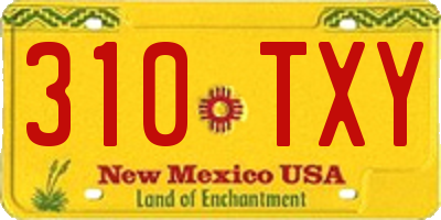 NM license plate 310TXY