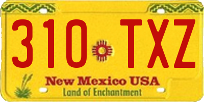 NM license plate 310TXZ