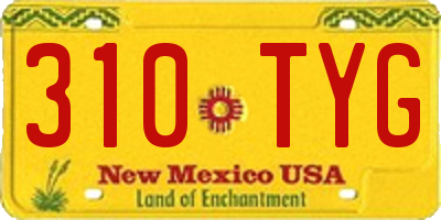 NM license plate 310TYG