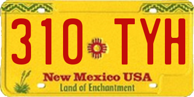 NM license plate 310TYH
